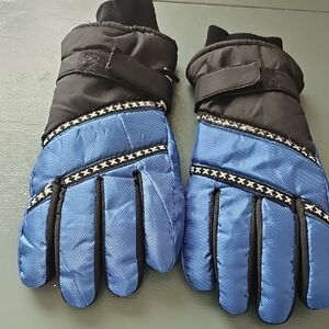Blue‎ and Black Winter Gloves. Size Small. Waterproof By Thinsulate.